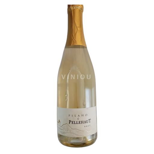 Lounais-Ranska Pellehaut Pilaho 2023