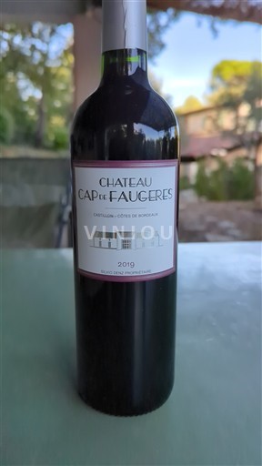 Bordeaux Castillon Côtes de Bordeaux Château Cap de Faugères 2019