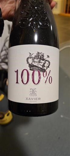 Valle del Ródano Côtes del Ródano Xavier vignon 100% 2019