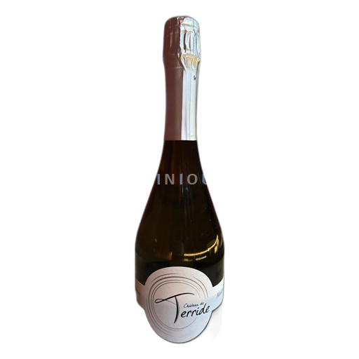 Sudoeste Gaillac Chateau de Terride Mauzac Sin añada
