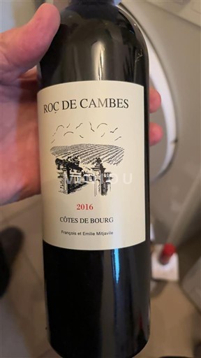 Bordeaux Côtes-de-bourg Roc de Cambes 2016