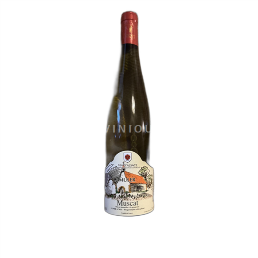 Alsace Muscat Muller 2018