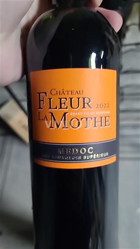 Bordeaux Médoc Château Fleur La Mothe 2022