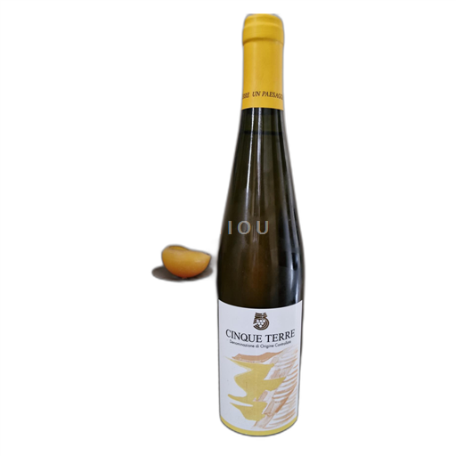 Wines of Liguria Cinque Terre Cantina Cinqueterre Vendemlia 2019