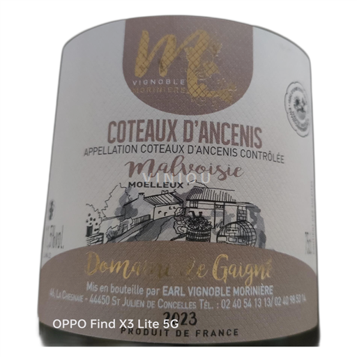 Dolina Loare Coteaux d'Ancenis Vignoble Morinière Grain de Gagné 2023