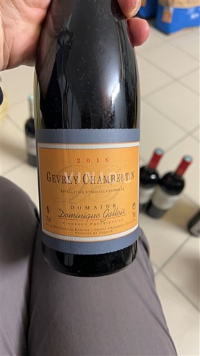 Burgundsko Gevrey-Chambertin Domaine Dominique Gallois 2016