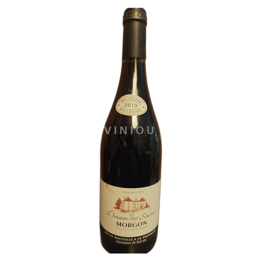 Beaujolais Morgon Domaine des Schistes 2019