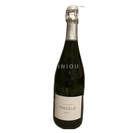 Champaña Champán Bernard Gaucher Mahelie brut Sin añada