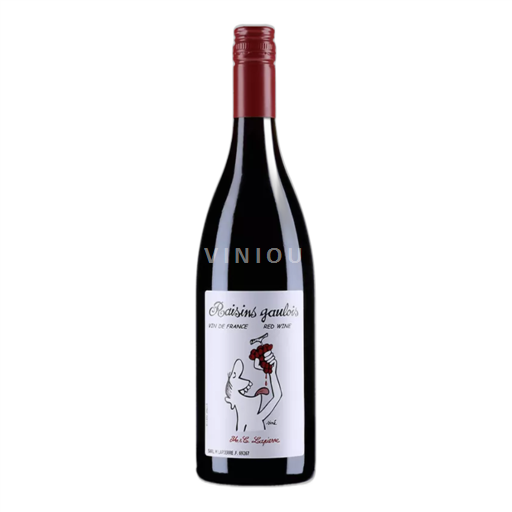 Beaujolais Domaine Marcel Lapierre Raisins Gaulois 2023