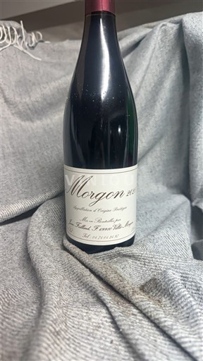 Beaujolais Morgon Jean Foillard 2021