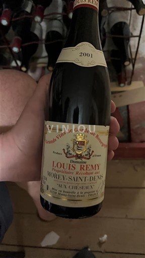 Domaine Louis Rémy - Vin, liste de ses Vin.