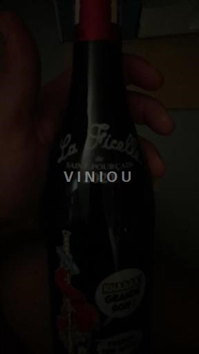 Valle della Loira Saint-Pourçain La Ficelle 2021