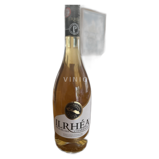 Poitou-Charentes Pineau-des-Charentes Vignerons de l'Île de Ré Ilrhéa Không niên vụ