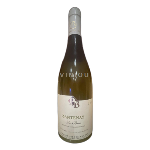 Borgogna Santenay Domaine Pierre Brazey Les Bras 2022