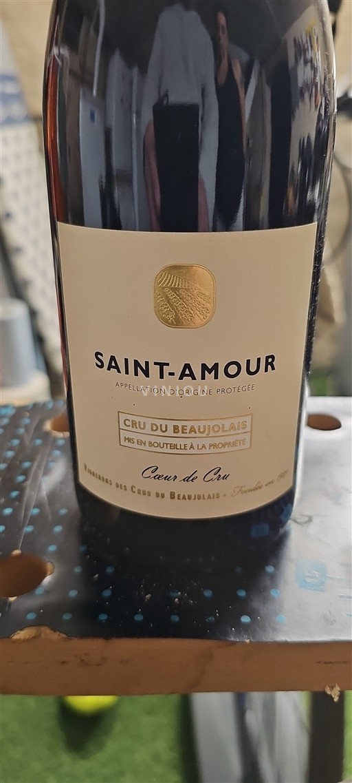 Beaujolais Saint-Amour Cœur de Cru 2023