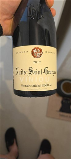 Bourgogne Nuits-Saint-Georges Domaine Michel NOËLLAT 2017