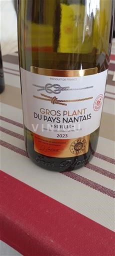 Vallée de la Loire Gros-plant-du-pays-nantais sur lie 2023