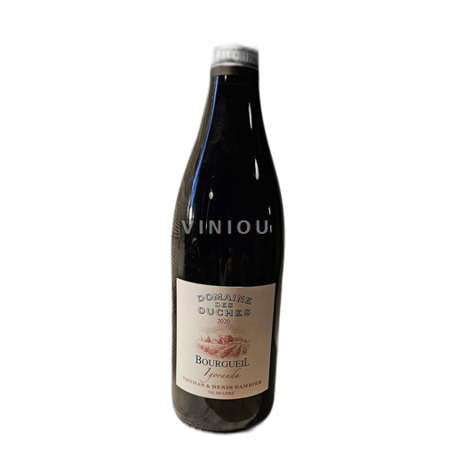 Dolina Loare Bourgueil Domaine des Ouches Igoranda 2020