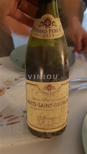 Burgundy Nuits-Saint-Georges Bouchard Père & Fils 2013