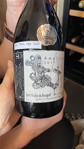 Loiren laakso Saint-Nicolas-De-Bourgueil Amplitude 2017