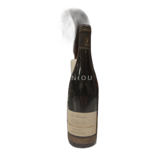 Vallée de la Loire Bourgueil Domaine Pitault Landry Les Terrasses 2016
