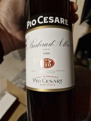 Piemonte Barbera d'Alba Pio Cesare 2022
