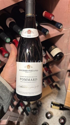 Vinos Rouge sec Bouchard Père & Fils 2019 Francia Borgoña Pommard AOC