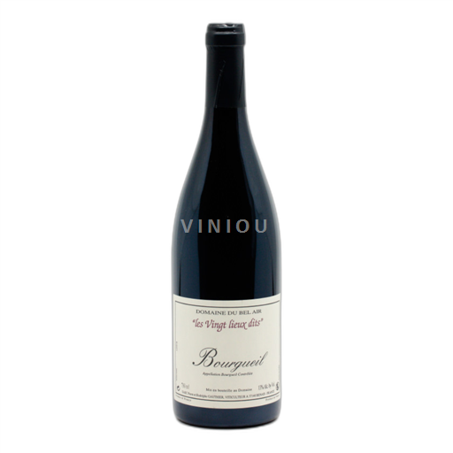 Údolí Loiry Bourgueil Domaine de la Butte Les Vingt Lieux Dits 2022