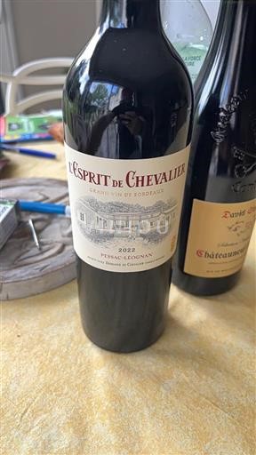 Bordeaux Pessac-Léognan Domaine de Chevalier L'Esprit de Chevalier 2022
