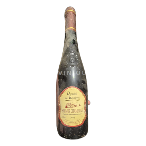 Loiren laakso Saumur-champigny Domaine des Raynières 2003