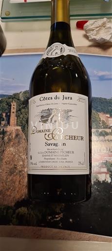 Jura Côtes du Jura Domaine Pécheur Savagnin 2020