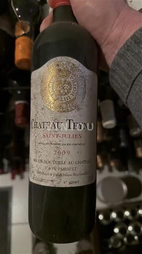 Burdeos Saint-Julien Château Teynac 2009