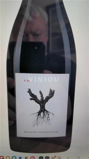 Castiglia e León Ribera del Duero Dominio de Pingus PSI 2019