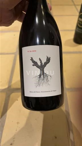 Castile and León Ribera del Duero Dominio de Pingus PSI 2019