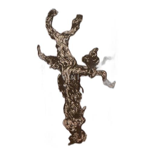 Rhônedalen Saint-Joseph Clos Saint-Joseph 2015