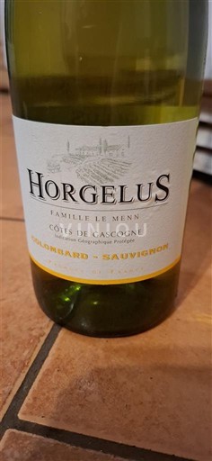 Tây Nam Côtes de Gascogne Horgelus Colombard Sauvignon Không niên vụ