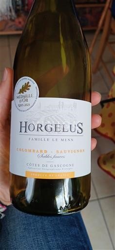 Sudoeste Côtes de Gascogne Horgelus Colombard Sauvignon Sin añada