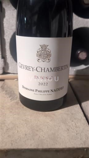 Burgundija Gevrey-chambertin Domaine Philippe Naddef En Songe 2022