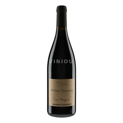 Loiretal Saumur-Champigny Antoine Sanzay Les Poyeux 2020