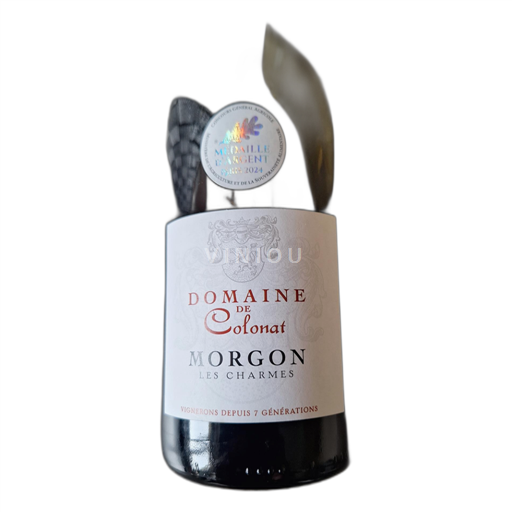 Beaujolais Morgon Domaine de Colonat Les Charmes 2023