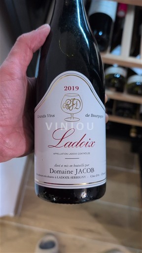 Burgundija Ladoix Domaine JACOB 2019