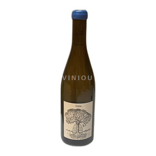 Loirevallei Muscadet Domaine de Bellé Vue Gaïa 2020