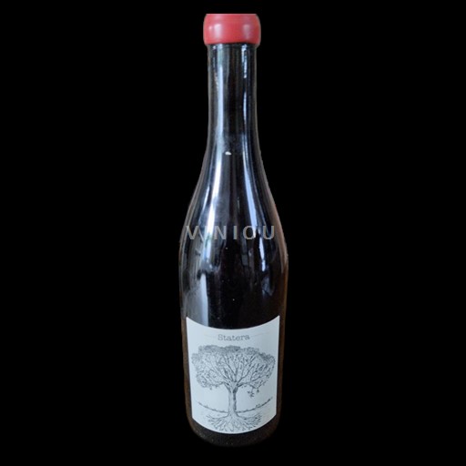 Thung lũng sông Loire Không được chỉ định Domaine Bretaudeau Statera 2020