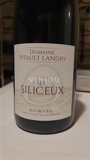 Vallée de la Loire Bourgueil Domaine Pitault Landry Les Siliceux 2023
