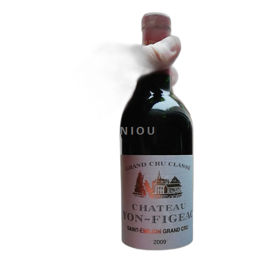 Burdeos Saint-Émilion Gran Cru Château Yon-Figeac 2009