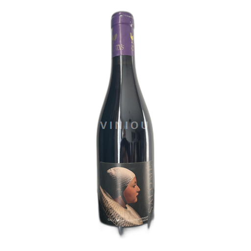 Vallée du Rhône Costières-de-nîmes Domaine Galus Salomé 2022