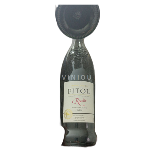 Languedoc Fitou Mont Tauch Récolte 2019