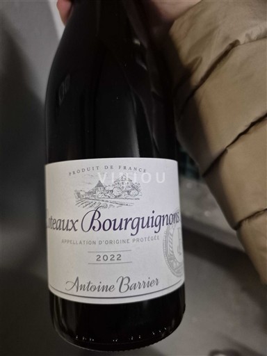 Burgundi Burgundin rinteet ANTOINE BARRIER 2022