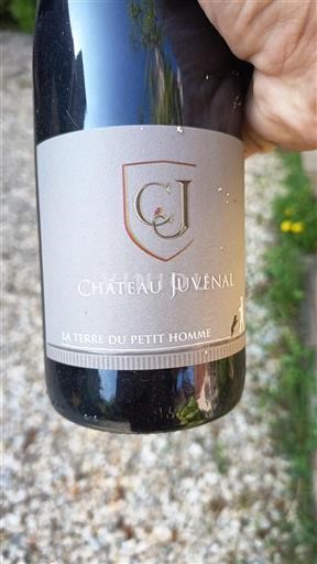 Vin Rouge sec La Terre du Petit Homme Château Juvenal 2020 France Vallée du Rhône Ventoux AOC