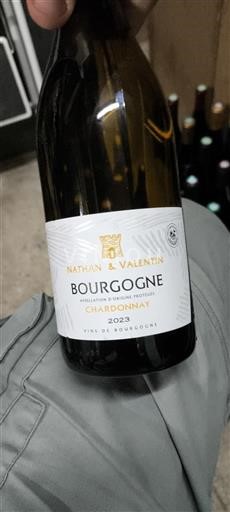 Burgundi Bourgogne Nathan & Valentin 2023